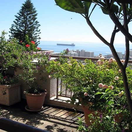 123 Ocean View Drive Apartment Kapsztad Zewnętrze zdjęcie