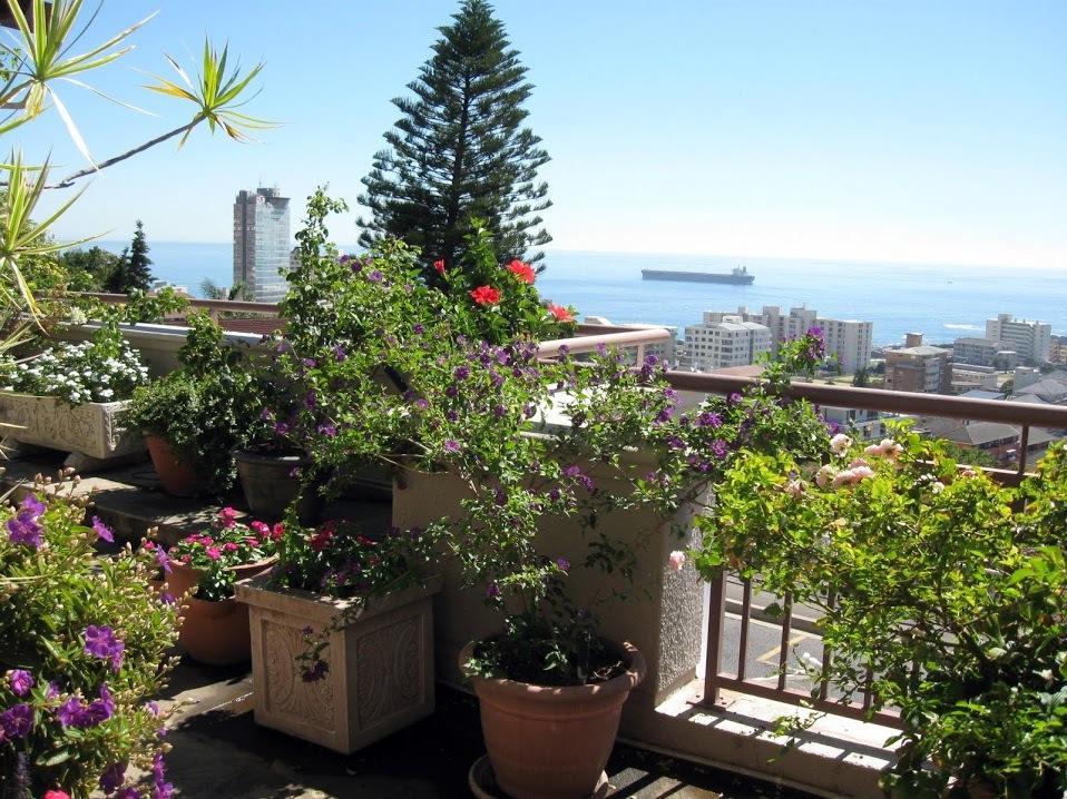 123 Ocean View Drive Apartment Kapsztad Zewnętrze zdjęcie