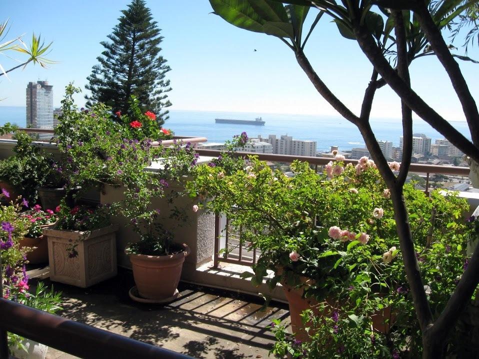 123 Ocean View Drive Apartment Kapsztad Zewnętrze zdjęcie